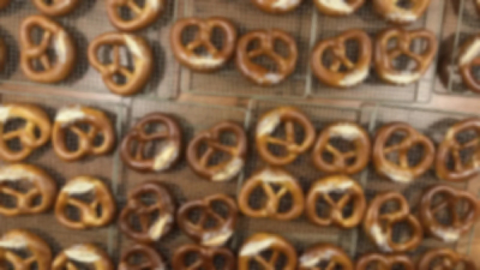 Trays of freshly baked handmade German soft pretzels (Laugenbrezeln) by Sammy's Brezels